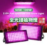 LED 植物燈 50W 100W 全光譜 植物生長燈 植物燈全光譜 太陽光 多肉植物燈 生長燈 多肉植物 LED植物燈