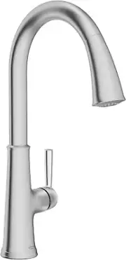 American Standard Renate Pull-Down Kitchen Faucet with sprayer 9319310.075