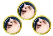 Samoyed Golf Ball Markers