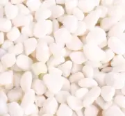 Natural Safe Non-toxic Decorative White Pebbles Small Stones 1/2-1" Gravel 3 LBS