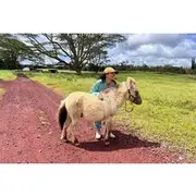 Save 20.00%! Ranch Tour & Animal Encounters