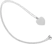 NOLITOY Heart Shaped Stainless Steel Cremation Keepsake Pendant for Pet Ashes Stylish Lightweight Design with Hidden Compartment for Dog Cat Remembrance