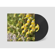 Notional Pastures Of Imaginary Softwoods, The (Vinyl) (Import)