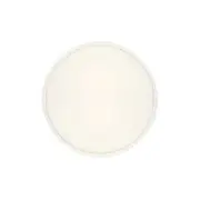 Telbix Sky 30W LED Tri Colour Ultra Slim Oyster Light