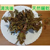 在飛比找蝦皮購物優惠-台灣產 日曬乾燥 秋天養肺 青草 養肺茶 魚腥草茶 收據 乾