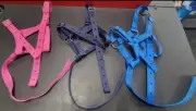 CnM Grow With Me Foal Halter NEW