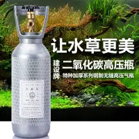 在飛比找蝦皮商城精選優惠-魚缸二氧化碳氣瓶 草缸氣瓶 CO2 山東建設2L4L二氧化碳