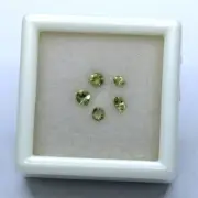 Faceted Cut Lot PALLASITIC PERIDOT 0.26 cts Meteoritic Olivine Jepara Indonesia