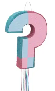 Baby Gender Reveal Question Mark Pull String Pinata Pk 1