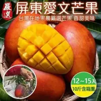 在飛比找momo購物網優惠-【WANG 蔬果】屏東特大顆愛文芒果12-15入x2箱(10