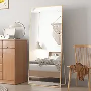 CASSILANDO Full-Length Mirror 165 * 60cm, Floor Standing Mirror, Unique Vertical Mirror, Gold Metal Frame Mirror, Over The Wall Hanging Mirror for Living Room Bedroom Entrance Bathroom