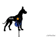 Great Dane Dog - Custom Name Dog Leash Holder - Wall Hook