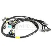 Rywire Fit Honda B-Series OBD2 Eng Harness w/OBD2 Dist/Inj/Alt/92-95 OBD1 Plug