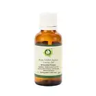 Golden Jojoba Oil Simmondsia Chinensis Dry Scalps Hair Regrowth Reduces Scars
