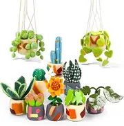 Needle Felting Kit - 10 Pack Plant Pot Needle Felting Starter Kit, Felting Kits with Basic Felt Tools, Clear Instructions for Beginner Adult Craft Kit, DIY Craft Plant Decor Present