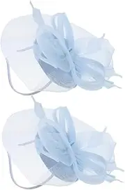[ELAYARD] Bridal Feather Hair Accessories Tea Hat Bridal Headdress Tea Party Hats Hair Accessories for Bride Headpiece for Bride Headbands Headband Mesh Fascinator Mesh Sky-blue