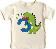 [Pixie and Elf] Third Birthday Dinosaur T Shirt, Birthday Kids, Birthday Outfit for Kids