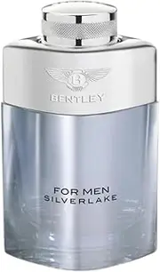 Green Velly Bentley for Men Silverlake Eau de Parfum 100ml