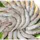 活凍白蝦 白蝦 生白蝦 蝦子 冷凍蝦 60/70 約50至60尾 中南美洲  火鍋 海鮮 [誠實討海人]