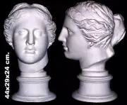 Artist Drawing model Figure Plaster Head Aphrodite Greek Sculpture Art Lessons