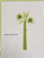 Papyrus Greeting Card Lily Celery Flower Bouquet With Sympathy