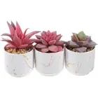 3 Pcs Porcelain Cup Decorative Artificial Plants Office Faux Succulents Pots