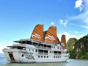 山頂遊樂園飯店Paradise Peak Cruise