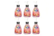 6x Northfork 250ml Hygienic Cleaning Liquid Hand Wash Guava, Papaya, Cucumber