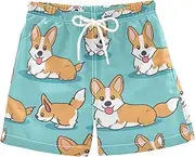 [sanluoli] Naughty Animal Corgis Dogs Workout Shorts Youth Swimsuits Quick Dry Elastic Compression Liner Beach Swimming 2T, Naughty Animal Corgis Dogs, X-Small