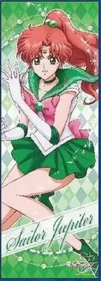 SAILOR MOON CRYSTAL SCOUTS ANIME SM SAILORMOON MAKOTO KINO JUPITER POSTER 12