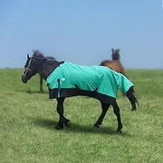 Waterproof Horse Blanket|Waterproof and Breathable Horse Care Blankets|Horse Blankets for Real Horses|Stands Up to The Elements, Keeping Your Horse Warm and Dry(78Inch-Green)