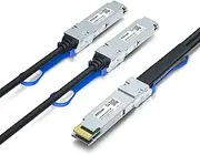10Gtek 200GbE to 2x100GbE Splitter DAC, QSFP-DD to 2xQSFP28 (8CHx25G to 2x4CHx25G), 2.5-Meter
