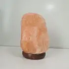 Himalayan Salt Lamp Natural Crystal Rock Shape Night Light 3kg