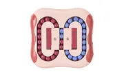Children's Puzzle Decompression Special Shape Magic Cube Ball Game Creative Fidget Bean Toy