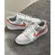 Nike Dunk Low Retro 灰裸粉 灰白 粉勾 灰粉 灰裸粉勾 HF0730-160