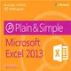 Microsoft Excel 2013 — Plain & Simple