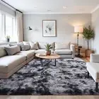 Fluffy Area Rugs 5x7 Feet, Modern Minimalist Style Shag Fuzzy Rugs, Non-Slip ...