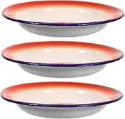 Cabilock 3pcs Vintage Enamel Food Serving Plates Multifunctional Tableware with Random Floral Patterns for Picnics Restaurants and Home Entertaining