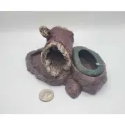 Terrarium Food & Water Dish Hide Combo - Small Reptile & Amphibian Tank Ornament