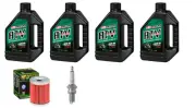 Oil Change Kit for Arctic Cat 250/300 Tune up Kit Spark Plug 1998-2005 4 Quart