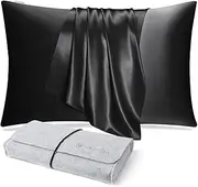 DISANGNI 100% Natural Mulberry Silk Pillow case for Hair and Skin with Hidden Zipper 22 Momme Both Sides Real Silk Pillow Case (1pc Standard Size 20" x26" Black)