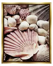 Stacked Coastal Seashells Framed Floater Canvas Wall Art by Ashley Aldridge 17 x 21 NoColor