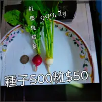 在飛比找蝦皮購物優惠-紅櫻桃蘿蔔種子500粒$50