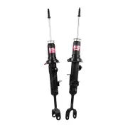 2x Front KYB Excel-G Shock Absorbers for Nissan Skyline V35 250GT 300GT 350GT