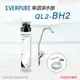 美國原裝進口 Everpure QL2-BH2 單道淨水系統(自助型-含全套配件)-水蘋果專業淨水/快速到貨購物中心