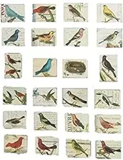 MISWEE 24-pcs magnetic fridge magnets refrigerator sticker home decoration accessories magnet paste arts crafts (birds)