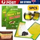 5-20PCS Mouse Traps Rat Mice Mouse Trap Board Snare Catcher Board Pad