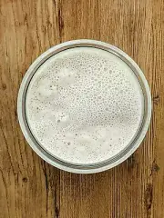 109 y/o French Sourdough Starter & Recipe - Organic Wheat