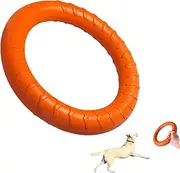 DLDER Flying Disc Chew Toy for Dogs, Floating Ring/Fetch Toy for Medium/Large Breeds, Interactive Pool Float, Durable Training and Teeth Cleaning Toy, 28cm