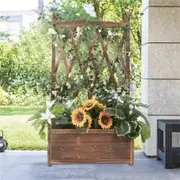 GREENHAVEN Lattice Raised Garden Bed Wooden Planter Box with Trellis